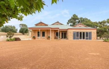 House For Sale - WA - Gidgegannup - 6083 - Classic homestead on 5 acres with Shouse!  (Image 2)