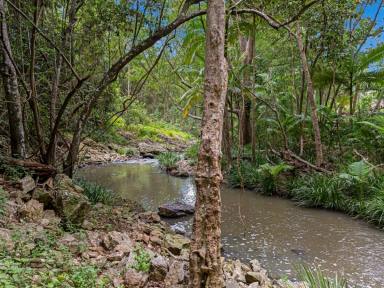 House For Sale - QLD - Mudgeeraba - 4213 - A Tranquil Creekside Oasis in the Heart of The Gold Coast Hinterland  (Image 2)