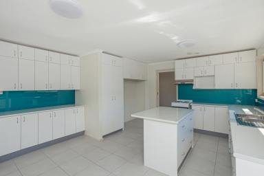 House For Lease - NSW - Raymond Terrace - 2324 - RENOVATED, SPACIOUS HOME!  (Image 2)