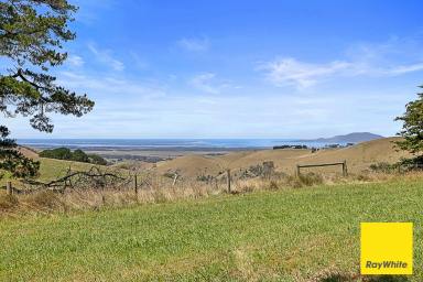 Acreage/Semi-rural Auction - VIC - Toora - 3962 - AUCTION - 11AM SATURDAY 17/05/2025 ONSITE  (Image 2)