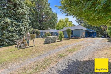 Acreage/Semi-rural For Sale - VIC - Toora - 3962 - LIFESTYLE ACREAGE OPPORTUNITY  (Image 2)