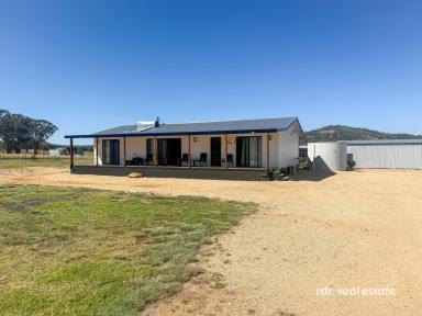 Mixed Farming For Sale - NSW - Ashford - 2361 - PARADISE NEAR PINDARI DAM  (Image 2)