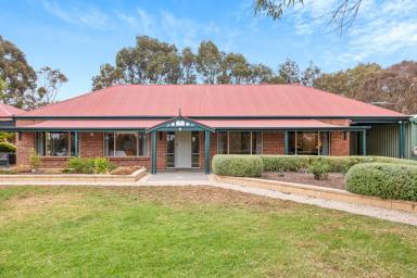 House For Sale - SA - Nairne - 5252 - A country escape 2 minutes from town  (Image 2)