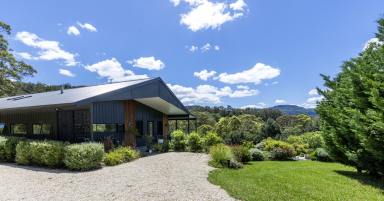 Acreage/Semi-rural For Sale - NSW - Tapitallee - 2540 - "Longview" - Stunning Modern Contemporary Home with Breathtaking Views  (Image 2)