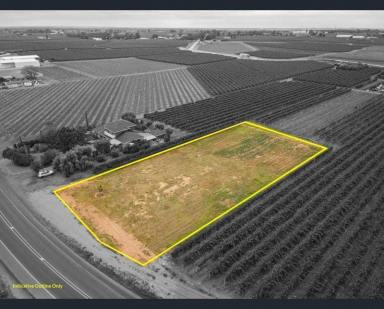 Residential Block For Sale - VIC - Irymple - 3498 - Look no Further ! 1 ACRE VACANT BLOCK NEXT TO VINEYARDS!  (Image 2)