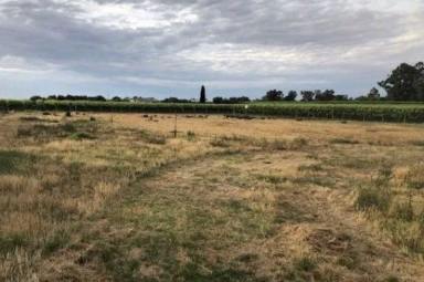 Residential Block For Sale - VIC - Irymple - 3498 - Look no Further ! 1 ACRE VACANT BLOCK NEXT TO VINEYARDS!  (Image 2)