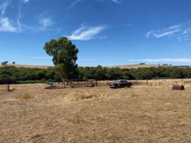Acreage/Semi-rural Sold - WA - Gingin - 6503 - OPPORTUNITY MEETS PROGRESS!  (Image 2)