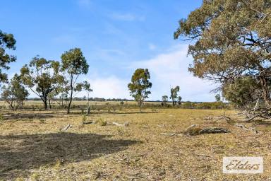 Residential Block For Sale - VIC - Moyreisk - 3477 - Private 381-Acre Bushland Hideaway with Panoramic Pyrenees Views  (Image 2)