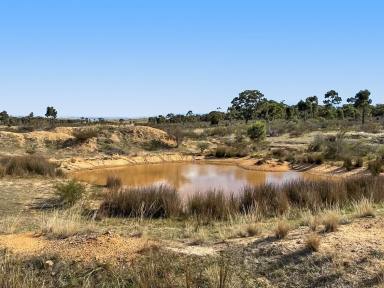 Residential Block For Sale - VIC - Moyreisk - 3477 - Secluded 381-Acre Bush Retreat with Stunning Pyrenees Ranges Views  (Image 2)