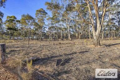 Residential Block For Sale - VIC - Moyreisk - 3477 - Nature's Hideaway: 381-Acre Bush Retreat with Pyrenees View (Image 2)