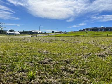 Residential Block For Sale - NSW - Kyogle - 2474 - BUILD YOUR DREAM HOME  (Image 2)