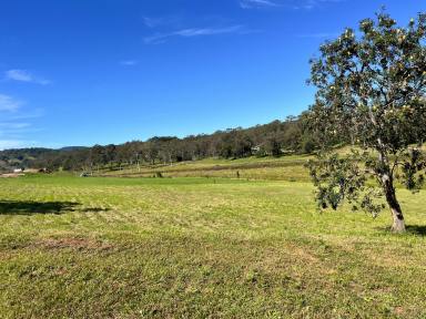 Residential Block For Sale - NSW - Kyogle - 2474 - BUILD YOUR DREAM HOME  (Image 2)