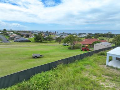 Residential Block For Sale - NSW - Diamond Beach - 2430 - Prime Coastal Land with Spectacular Ocean View Potential !  (Image 2)