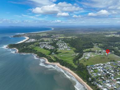 Residential Block For Sale - NSW - Diamond Beach - 2430 - Prime Coastal Land with Spectacular Ocean View Potential !  (Image 2)