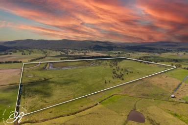 Residential Block For Sale - NSW - East Seaham - 2324 - Prime Agricultural Investment – 125 Acres of Productive Farmland  (Image 2)