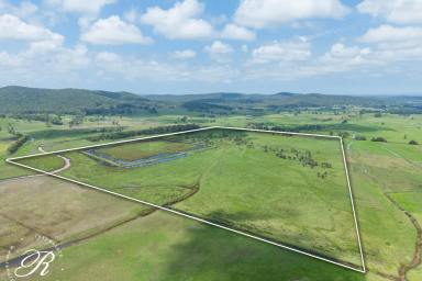 Residential Block For Sale - NSW - East Seaham - 2324 - Prime Agricultural Investment – 125 Acres of Productive Farmland  (Image 2)