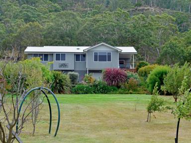 House For Sale - TAS - New Norfolk - 7140 - Derwent Valley's Best Kept Secret  (Image 2)