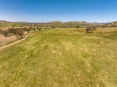 Mixed Farming For Sale - NSW - Jugiong - 2726 - FOR LEASE  (Image 2)