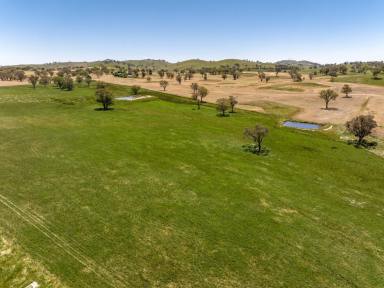 Mixed Farming For Sale - NSW - Jugiong - 2726 - FOR LEASE  (Image 2)