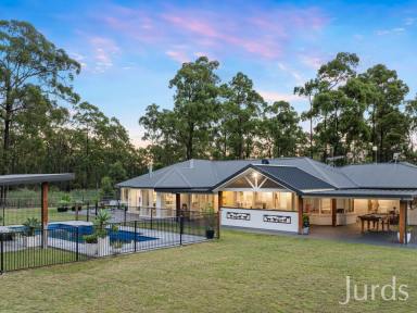 Lifestyle For Sale - NSW - Lovedale - 2325 - Equine Paradise in the Heart of Hunter Valley  (Image 2)