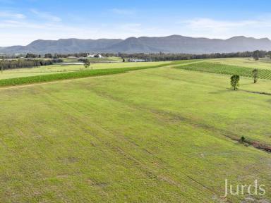 Lifestyle For Sale - NSW - Pokolbin - 2320 - RARE 208 ACRE HOLDING IN HEART OF WINE COUNTRY  (Image 2)