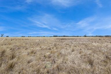 Residential Block Auction - VIC - Bagshot North - 3551 - AUCTION THURSDAY 3RD APRIL - Prime Farming Opportunity  (Image 2)