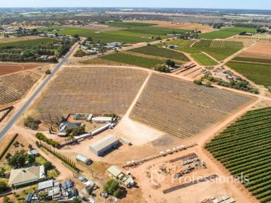 Other (Rural) For Sale - VIC - Birdwoodton - 3505 - Birdwoodton Hobby Farm - 4.9ha  (Image 2)