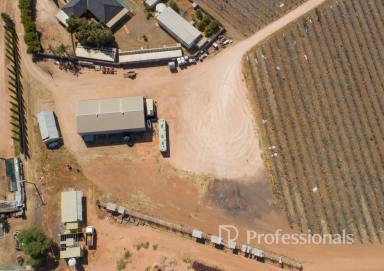 Other (Rural) For Sale - VIC - Birdwoodton - 3505 - Birdwoodton Hobby Farm - 4.9ha  (Image 2)