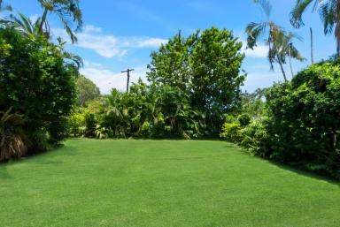 House For Lease - QLD - Kewarra Beach - 4879 - MASSIVE BLOCK WITH ROOM FOR ALL THE FAMILY AND TOYS!  (Image 2)