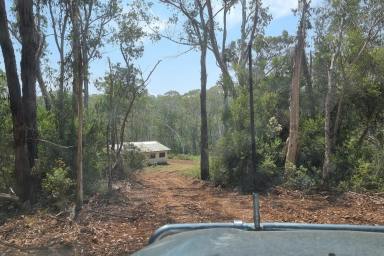 Lifestyle For Sale - VIC - Bendoc - 3888 - Peaceful And Tranquil Setting  (Image 2)