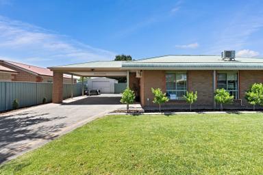 House For Sale - VIC - Mildura - 3500 - Stylish & Low-Maintenance Living in Mildura  (Image 2)