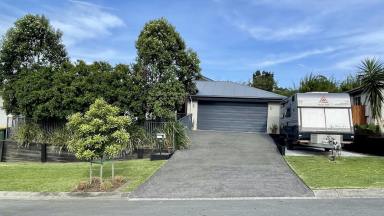 House For Lease - QLD - Eumundi - 4562 - Spacious 5-Bedroom Home with Mountain Views in Eumundi  (Image 2)