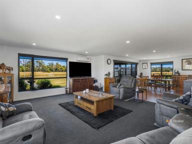 House For Sale - TAS - Squeaking Point - 7307 - Elevate Your Lifestyle On Elphin Drive  (Image 2)