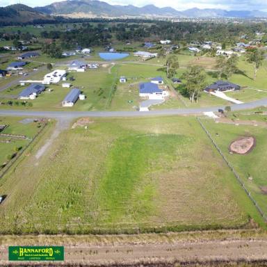 Residential Block For Sale - NSW - Gloucester - 2422 - MEADOW VIEWS  (Image 2)