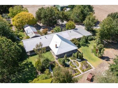 Acreage/Semi-rural For Sale - SA - Birdwood - 5234 - A Rare and Enviable Lifestyle Property  (Image 2)