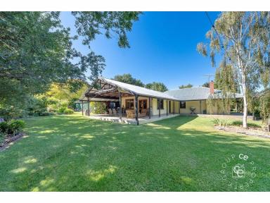 Acreage/Semi-rural For Sale - SA - Birdwood - 5234 - A Rare and Enviable Lifestyle Property  (Image 2)