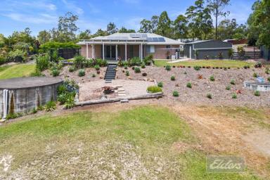 House For Sale - QLD - Tamaree - 4570 - Smart Investment With An Exceptional Location  (Image 2)