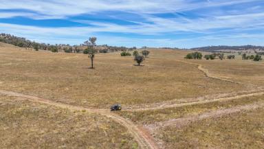 Other (Rural) Auction - NSW - Tamworth - 2340 - SCALE, UPSIDE AND PROXIMITY TO TAMWORTH  (Image 2)