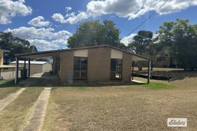 House For Lease - QLD - Gatton - 4343 - 3 Bedroom Lowset Brick House Located in Gatton  (Image 2)