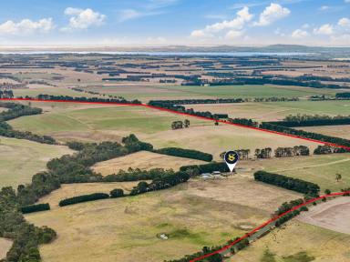 Livestock For Sale - VIC - Yeodene - 3249 - ATTRACTIVE COLAC – BIRREGURRA DISTRICT PROPERTY  (Image 2)