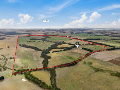 Livestock For Sale - VIC - Yeodene - 3249 - ATTRACTIVE COLAC – BIRREGURRA DISTRICT PROPERTY  (Image 2)