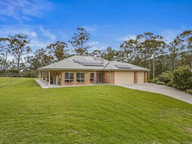 Lifestyle For Sale - NSW - Gloucester - 2422 - Exceptional Lifestyle & Position - A Tranquil Bush Retreat  (Image 2)