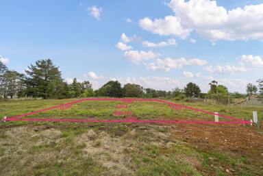 Residential Block Sold - NSW - Wallerawang - 2845 - Vacant land  (Image 2)