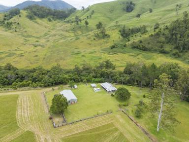 Lifestyle Auction - NSW - Gloucester - 2422 - Gloucester River Retreat  (Image 2)