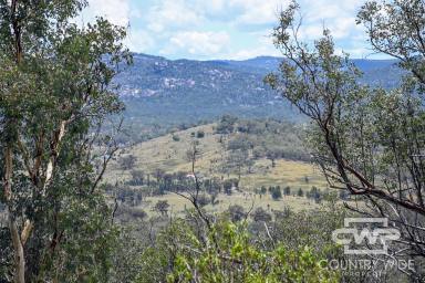 Lifestyle For Sale - NSW - Emmaville - 2371 - River Frontage  (Image 2)