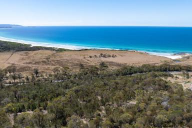 Residential Block For Sale - TAS - Bicheno - 7215 - A Prime 15 Acre Parcel with Endless Potential  (Image 2)