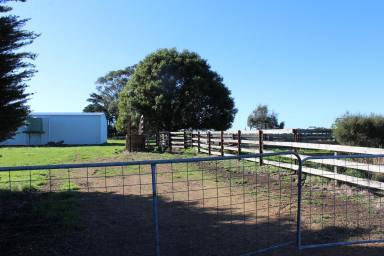 Livestock For Sale - VIC - Bessiebelle - 3304 - FOR LEASE  (Image 2)