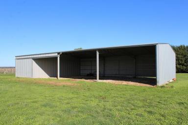 Livestock For Sale - VIC - Bessiebelle - 3304 - FOR LEASE  (Image 2)