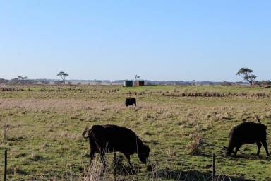 Livestock For Sale - VIC - Bessiebelle - 3304 - FOR LEASE  (Image 2)