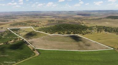 Land/Development For Sale - QLD - Pilton - 4361 - "Darling Downs Zoo" A Magic Opportunity" 122 Acres  (Image 2)